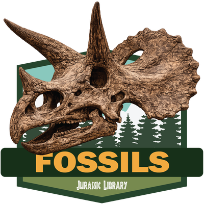 Fossils Challenge Badge